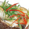 Qīng Zhēng Biǎn Xuě Steamed Codfish With Scallion