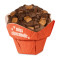Muffin Sugarbabes Miss Chocoholic