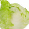 29. Shēng Cài Lettuce