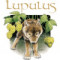 Lupulus Blonde Dry Hop 2023