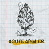 Acute Angles