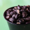 Side Black Beans (V, Gf)