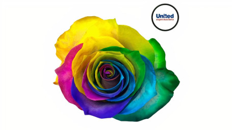 Rainbow Tye-Dye Roses