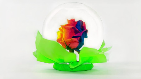 Everlasting Rainbow Rose Globe