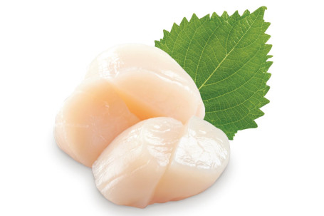 Fān Lì Bèi Cì Shēn Scallop Sashimi