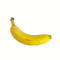 Fresh Fruit Bananas