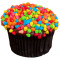 Cupcake Rainbow Petite Per Serve)