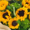 Sunflower Hand Bouquet