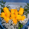 1 Dozen Yellow Rose Hand Bouquet (Vase Not Included)