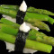 66. Asparagus (Vegetarian) Nigiri
