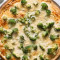 Chicken Broccoli Alfredo Pizza Small 10