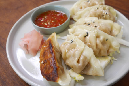 Crispy Katsu Chicken Curry Gyoza