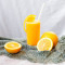 Fresh Squeezed orange Juice xīn xiān chéng zhī