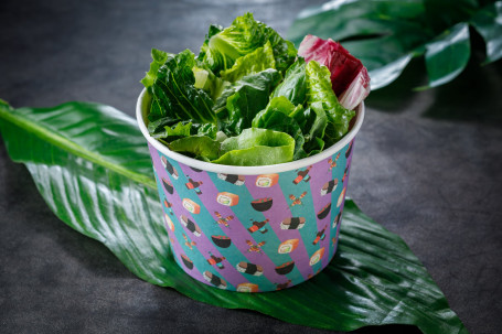 Green Salad Shā Lǜ
