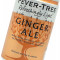 Fever Tree Light Ginger Ale (8x150ml cans)