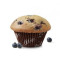 Blueberry Muffin [430.0 Cals]