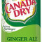 Ginger Ale Can (12 Oz)