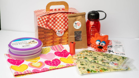 Picnic In The Park Basket For A Girl