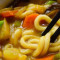（V）Curry Udon