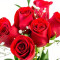 1/2 Dozen of Red Beauty Roses