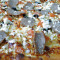 Xl Eurogyro Pizza