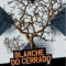 5. Blanche Do Cerrado