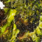Charred Broccoli (V)(G)