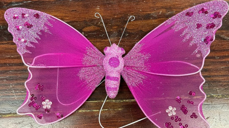 Hot Pink Butterfly