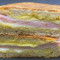 Honey Mustard Ham Panini