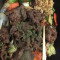 Bulgogi With Vegetable