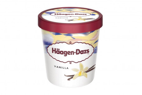 Haagen Dazs Vanilla Ice Cream 460Ml