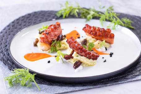 Kǎo Bā Zhǎo Yú Jiǎo Pèi Hóng Jiāo Jiàng Roasted Octopus Leg, Soft Potato, Red Pepper Coulis, Black Olives Powder