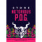 4. Stone Notorious P.o.g. Berliner Weisse