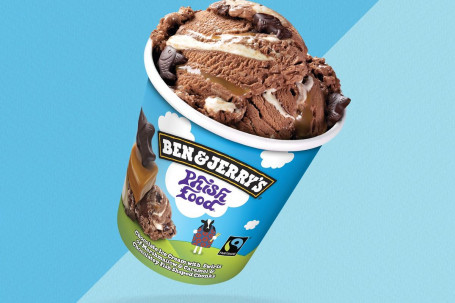 Ben Jerry Rsquo;S Phish Food Ice Cream Pint 458Ml