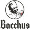 Bacchus Raspberry Beer