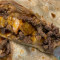 Panzon Burrito