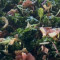 Caesar Kale Salad