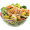 Vrolijke Salade (Groot)