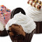 Cupcake Cu Înghețată Varietate 6-Pachet Gata Pentru Ridicare Acum