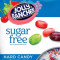Jolly Rancher Hard Candy SUGAR FREE (102g)