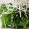 S2. Seaweed Salad