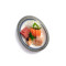Chef’s Sashimi (12 Pieces)