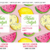 Florida Seltzer Meyer Lemon Watermelon (Can)