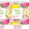 Florida Seltzer Meyer Lemon Watermelon (Can)