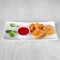 Hand Folded Crispy Won Ton #307