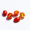 Cherry Tomatoes Fān Jiā