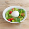 Bufala Mozzarella Salad