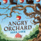 Pachet De 6 Angry Orchard