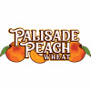 8016. Palisade Peach Wheat