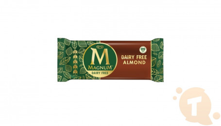 Magnum Dairy Free Almond 72G